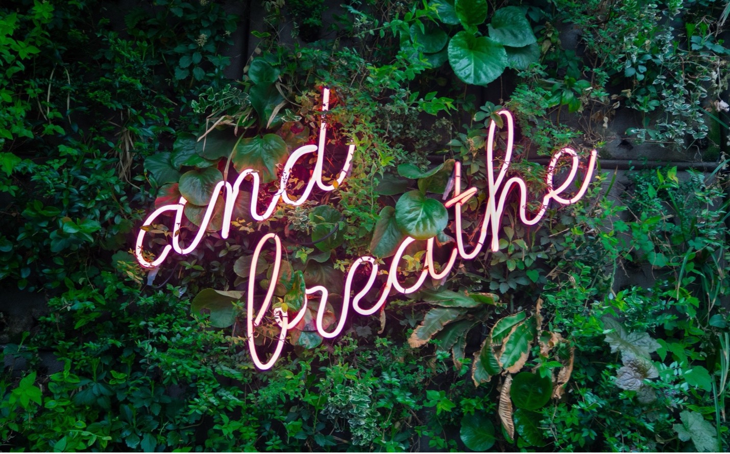 4 mindfulness exercises