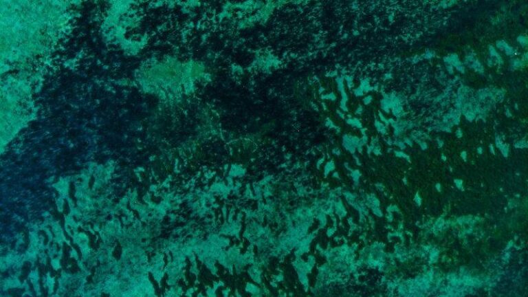 Aerial view of deep green and turquoise ocean patterns, symbolizing movement, change, and the fluid nature of life transitions.