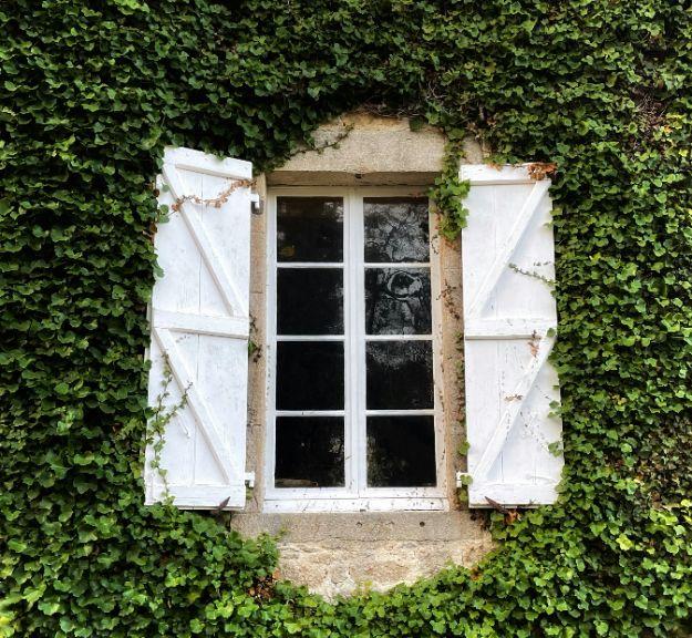 window symbolizing emotional balance within the window of tolerance