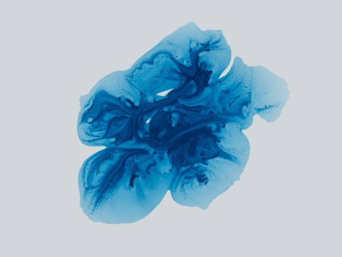 Abstract blue ink pattern resembling a brain, symbolizing the gut-brain connection and mental health link.