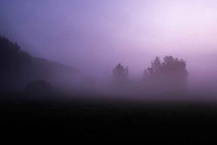 Soft purple fog settling over a dark landscape at dawn, symbolizing the hazy, distant feeling of post‑stress brain fog.”