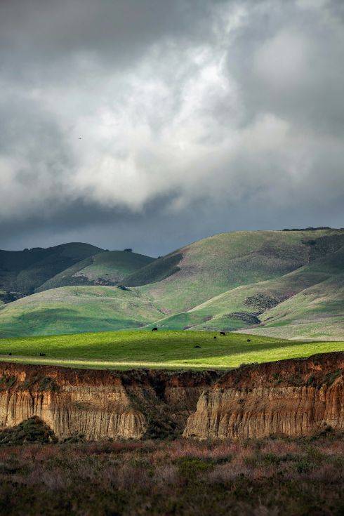 Rolling green hills beneath an overcast sky, with layered landscapes extending into the distance.