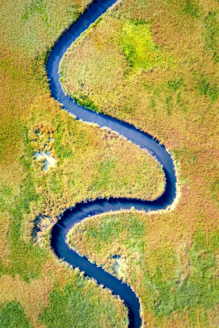 Aerial view of a winding river forming looping curves through a grassy landscape.