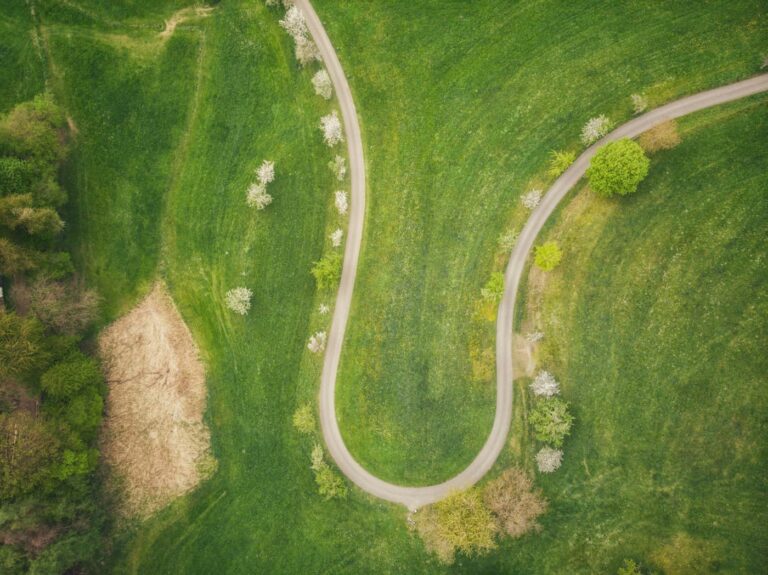 Curving road through green landscape viewed from above, symbolizing repeated patterns and familiar paths.