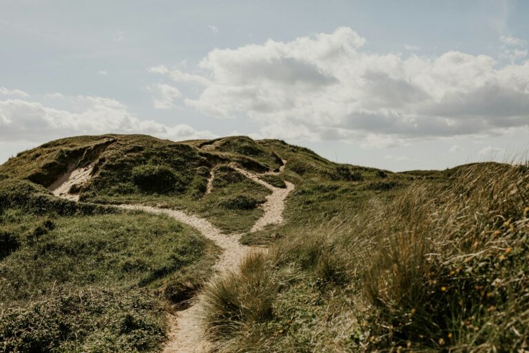 Intersecting sandy paths through coastal dunes beneath a cloudy sky.