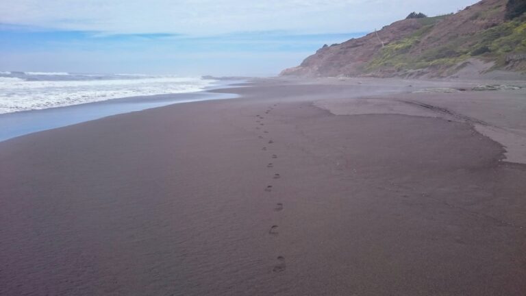 Footprints stretching across a quiet shoreline beside the ocean, illustrating the passage of time and changing seasons of life.