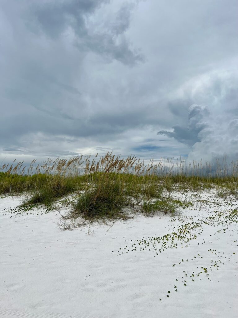 Beach dunes covered with sea oats beneath a wide sky filled with approaching storm clouds, illustrating changing conditions in a coastal landscape.