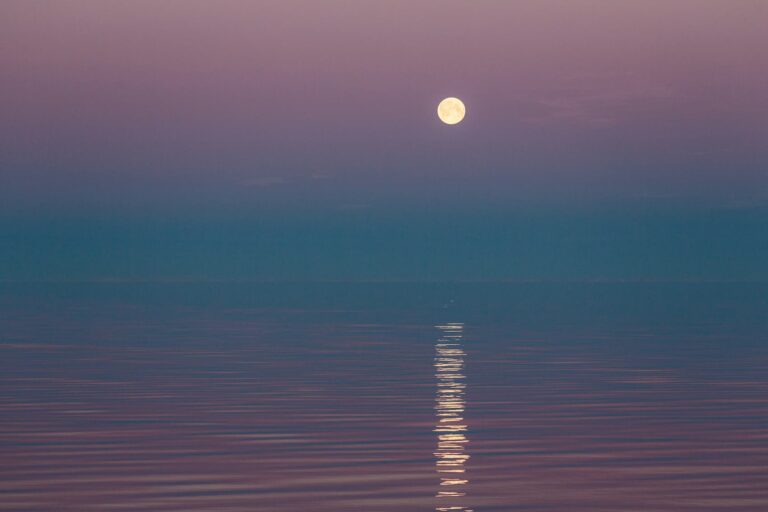 Moon reflected on calm water illustrating emotional needs such as connection, understanding, and belonging.