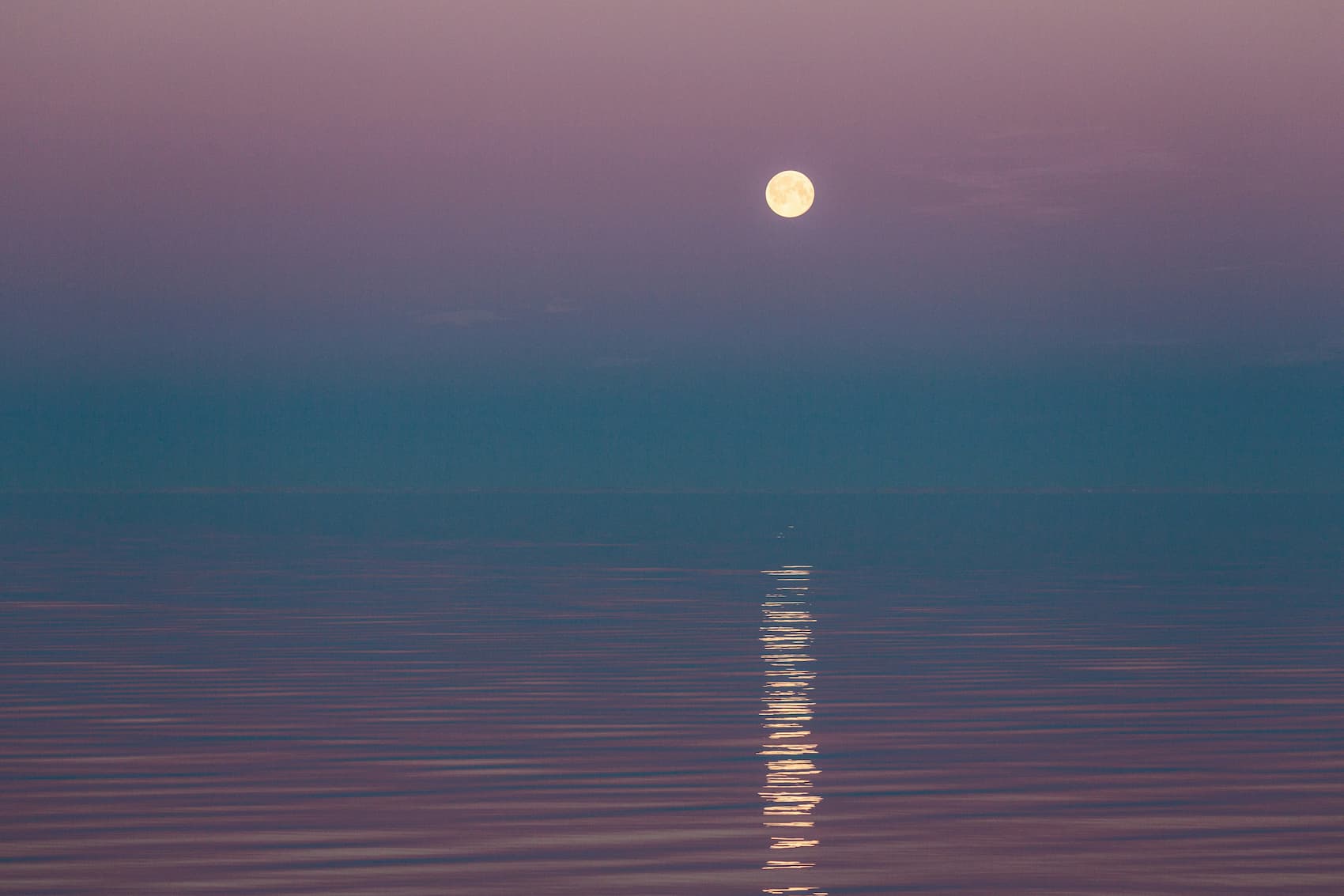 Moon reflected on calm water illustrating emotional needs such as connection, understanding, and belonging.