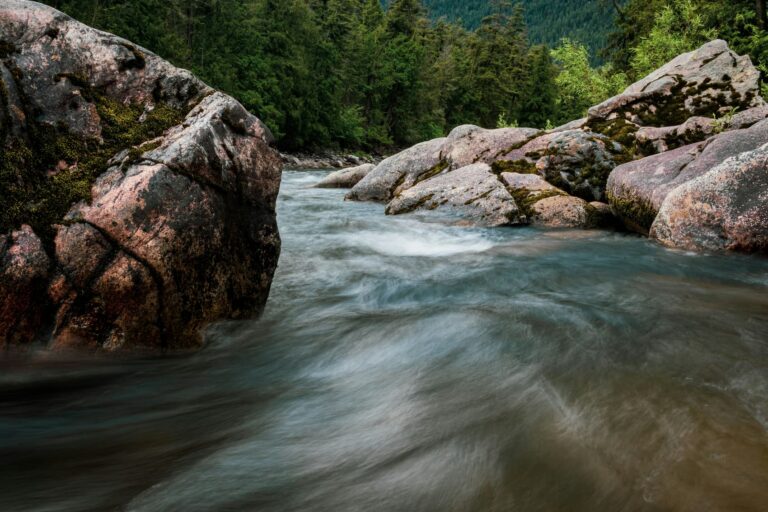 Fast-moving river flowing around large rocks in a forest landscape.